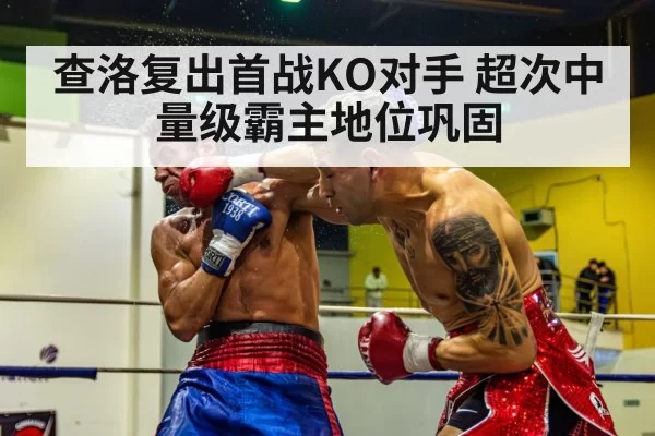查洛复出首战KO对手 超次中量级霸主地位巩固