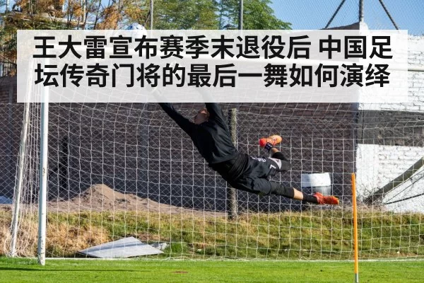 王大雷宣布赛季末退役后 中国足坛传奇门将的最后一舞如何演绎